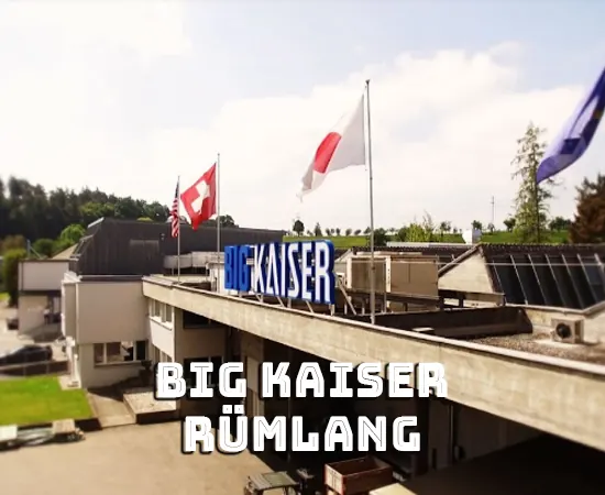 Ausgeführtes Maler- und Gipserprojekt